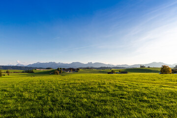 Panoramic view of beautiful sunny landscape in the Alps with fresh green meadows
field in the front and mountain tops in the background with blue sky and clouds, bavaria, allgäu,seeg