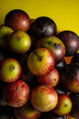 Fruits of Camu Camu (Myrciaria dubia), grows on the banks of the rivers of the Amazon, is very common in the markets, also used for the preparation of soft drinks, desserts and liqueurs.