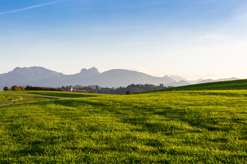 Panoramic view of beautiful sunny landscape in the Alps with fresh green meadows
field in the front and mountain tops in the background with blue sky and clouds, bavaria, allgäu,seeg