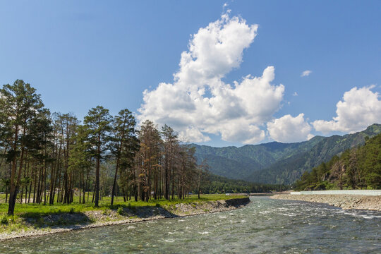Wide river Chemal in Altai in summer day