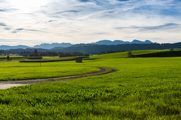 Panoramic view of beautiful sunny landscape in the Alps with fresh green meadows
field in the front and mountain tops in the background with blue sky and clouds, bavaria, allgäu,seeg