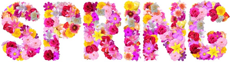 word spring with various colorful flowers