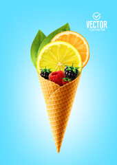 Vector illustration ice cream. Lemon, orange, blackberry and raspberry.