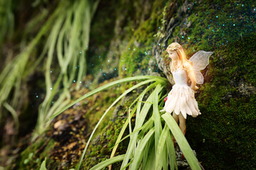 image of magical little fairy in the forest