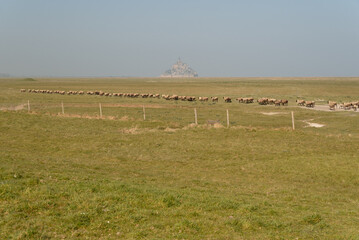 Mont Saint Michel from far away