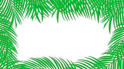 Palm Leaf Background banner. vector Illustration