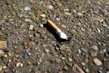 A cigarette butt carelessly thrown away creating litter and a hazard for wildlife