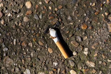 A cigarette butt carelessly thrown away creating litter and a hazard for wildlife