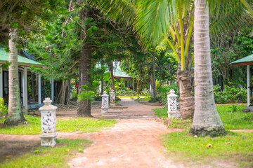path in the tropical forest. Houses among tropical plants and decorative lanterns, selective focus. Travel and tourism, landscape design