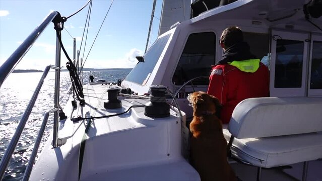 Caucasian man and his dog sit at the helm of a catamaran navigating the waters near the San Juan Islands