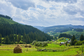 Beautiful mountain and forest in spring, Carpathian mountains, Ukraine