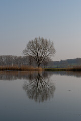 Landschaft im Frühjahr