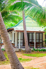Bungalow in a palm forest surrounded by tropical greenery. Travel and tourism in Asia.