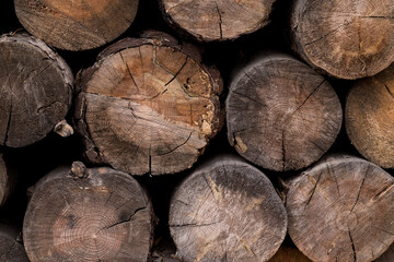 Naklejka premium log, tree, firewood