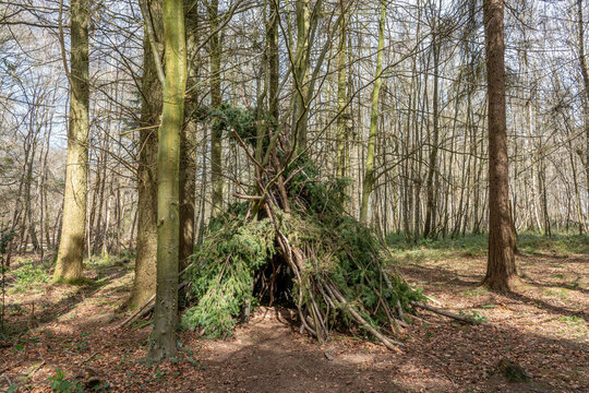 Woodland Den Created With Sticks And Branches Among The Trees