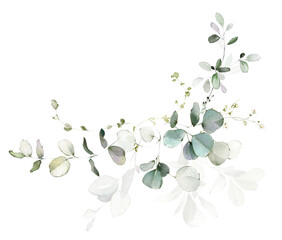 Set watercolor arrangements with garden herbs. collection leaves, branches. Botanic illustration isolated on white background. - 496318021