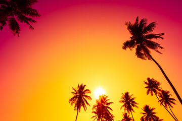 Fototapeta na wymiar Tropical coconut palm trees silhouettes on beach at sunset with clear sky and shining sun