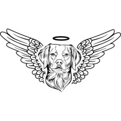 Brittany Spaniel with Wings and Halo Vector