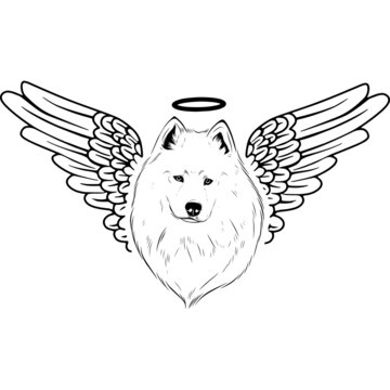 recommend clip art: Samoyed with Wings and Halo Vector