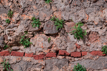 photo of stone brick background texture