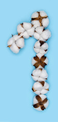Number 1 made of cotton flowers and isolated on solid blue background. Floral numeral concept. One number of the set of cotton font easy to stacking.