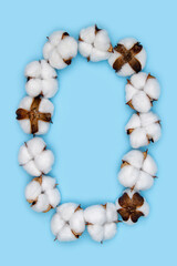 Number 0 made of cotton flowers and isolated on solid blue background. Floral numeral concept. One number of the set of cotton font easy to stacking.
