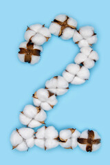 Number 2 made of cotton flowers and isolated on solid blue background. Floral numeral concept. One number of the set of cotton font easy to stacking.