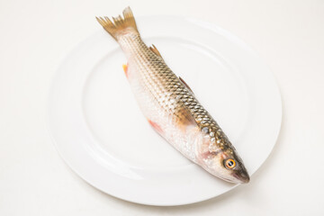 Fototapeta premium Raw fish on white plate isolated on white background. Top view. Empty space.