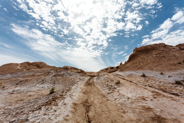 Fototapeta premium Ruins of Topraq Kala in Uzbekistan, Central Asia