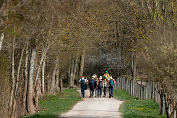 Randonneurs, Chemin des marais,  Marais de Fontenay, Marais des Basses Vallées de l'Essonne et de...