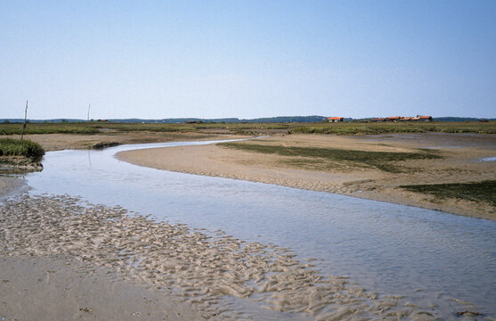 Sentiers du littoral, Domaine de Certes et Graveyron, Bassin d'Arcachon, Gironde, 33