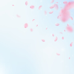 Sakura petals falling down. Romantic pink flowers corner. Flying petals on blue sky square background. Love, romance concept. Authentic wedding invitation.