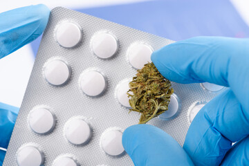 Scientist in gloves hold medical pills blister in one hand and CBD cannabis flower bud in other