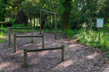 San Celso forest, near Bracciano lake, Italy