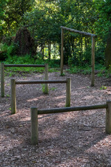 San Celso forest, near Bracciano lake, Italy