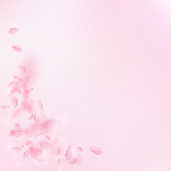 Obraz na płótnie Canvas Sakura petals falling down. Romantic pink flowers corner. Flying petals on pink square background. Love, romance concept. Unique wedding invitation.