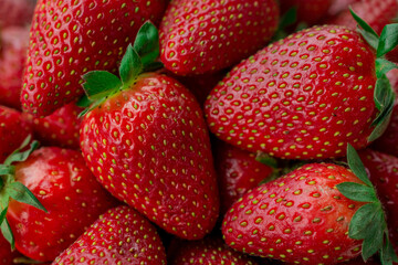 Fresh Strawberry background, hand picked ripe strawberry right from fields