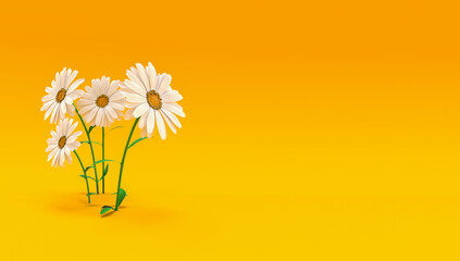 bouquet daisy flowers a minimalist and modern concept on a yellow background