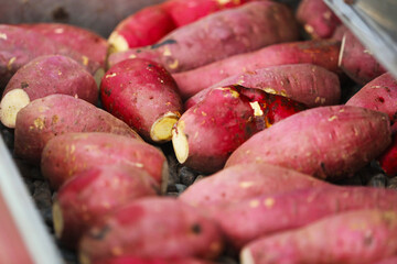 Sweet potatoes lined up on the baking machine