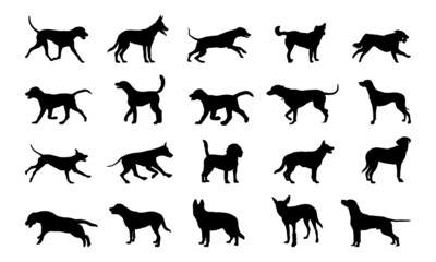 Vector silhouette of a dog on white background.