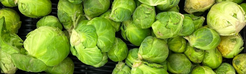 Fototapeta premium Brussels sprouts fresh green fruit a portion healthy meal food diet snack on the table copy space food background rustic top view keto or paleo diet veggie vegan or vegetarian food