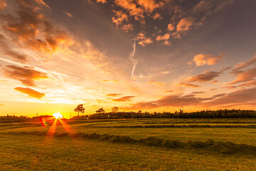 Sonnenuntergang am Wald &uuml;ber Wiese bei Nebel	