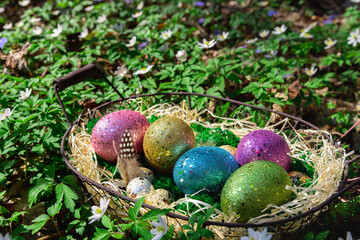 Easter background for spring holidays. Easter composition with colorful Easter eggs on moss in basket on lawn with spring flowers and grass