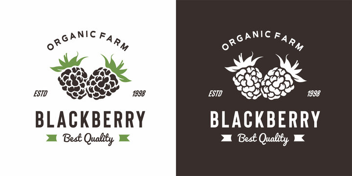 vintage blackberry fruit logo illustration suitable for fruit shop and fruit farm