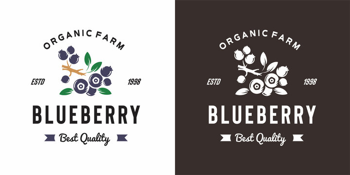 vintage blueberry fruit logo illustration suitable for fruit shop and fruit farm