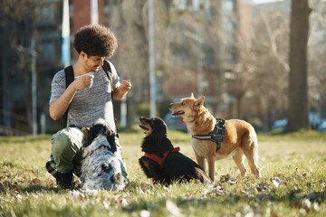 Happy pet sitter and small group of dogs in park.