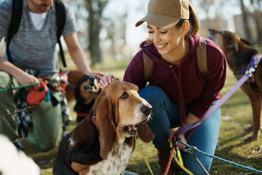 Happy female dog walker cuddling basset hound in nature.