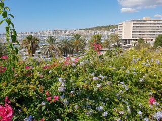Fototapeta na wymiar Sea of flowers, apartment houses and marina of Palma, Mallorca, Balearic Islands, Spain