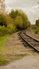 Fototapeta premium Natura - Tory 