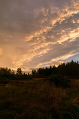 Fototapeta na wymiar Clouds, Joseph Whidbey State Park, WA